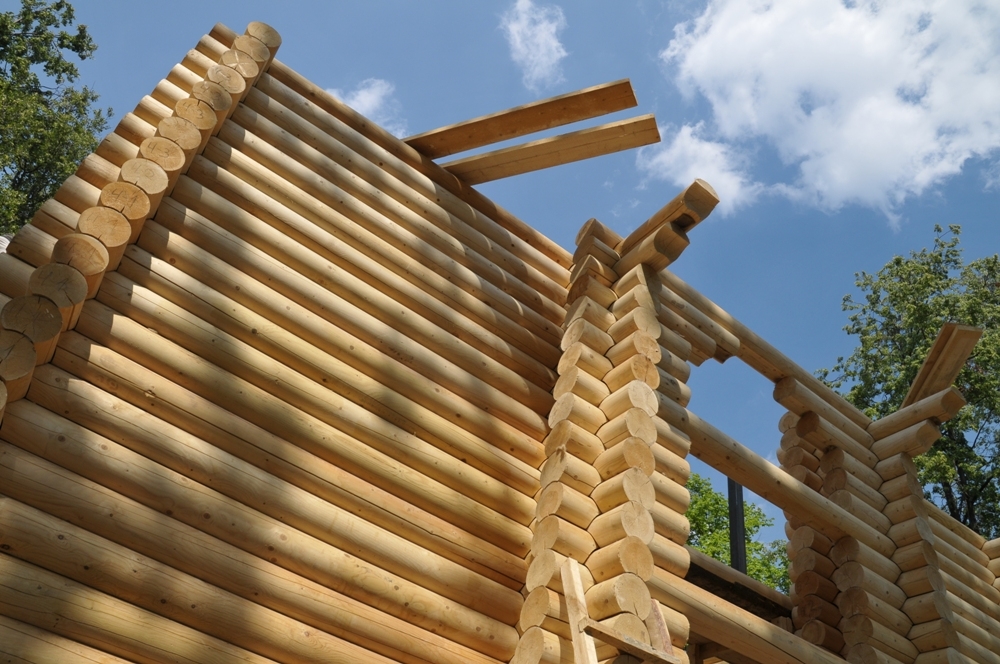 Завершается возведение сруба университетского храма