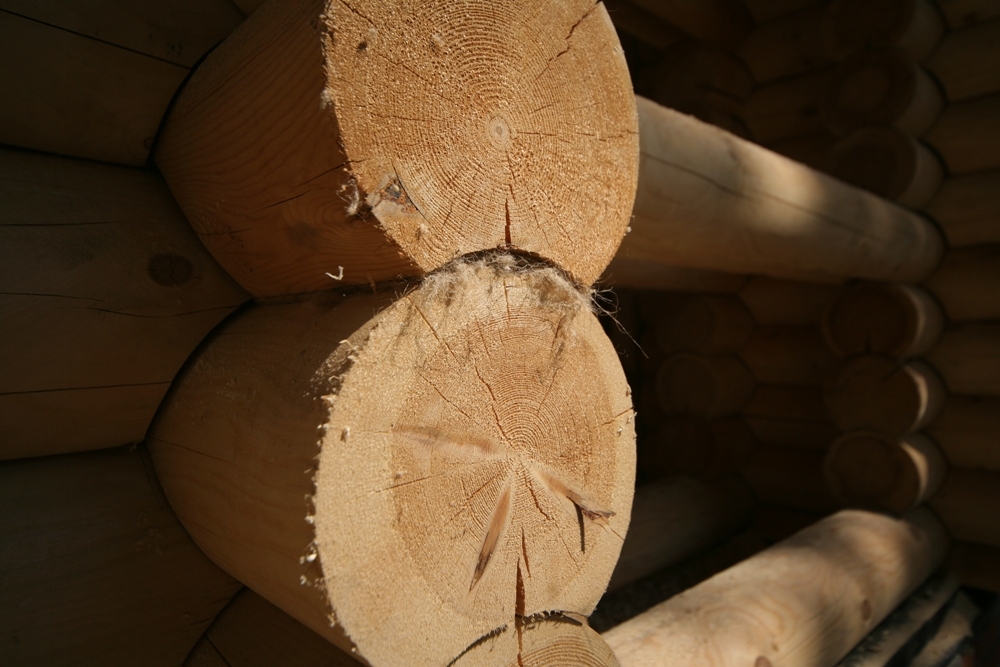 Завершается возведение сруба университетского храма