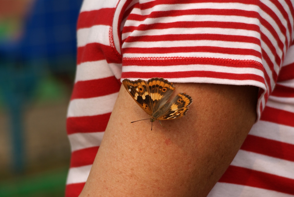 День физкультурника