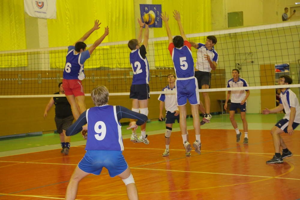 Волейболисты-победители