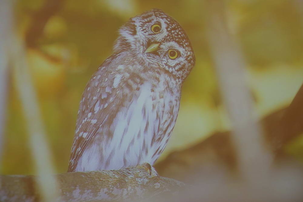 В ТулГУ подведены итоги конкурса, инициированного компанией HeidelbergCement    