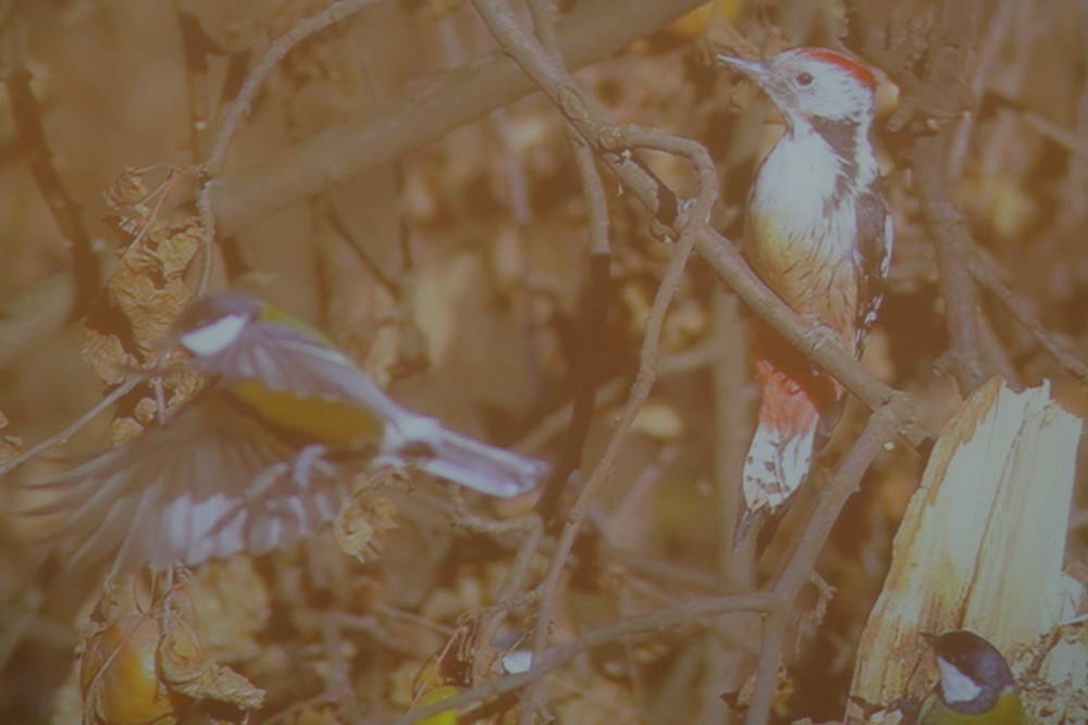 В ТулГУ подведены итоги конкурса, инициированного компанией HeidelbergCement    