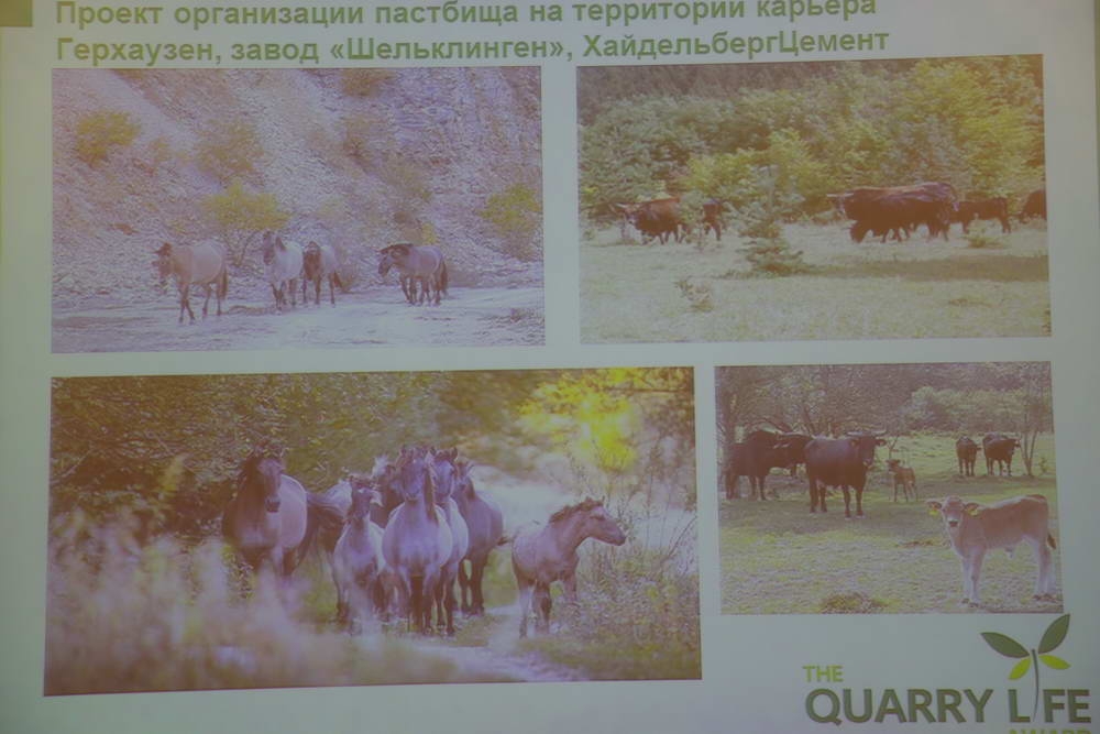 В ТулГУ подведены итоги конкурса, инициированного компанией HeidelbergCement    