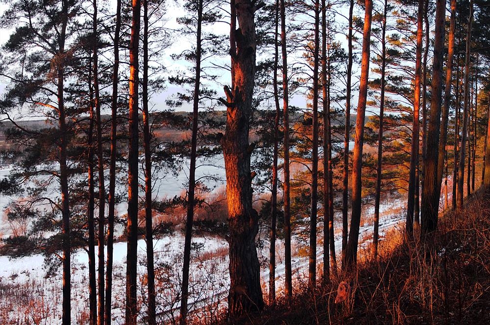 WUSOC-2016: снега будет много!