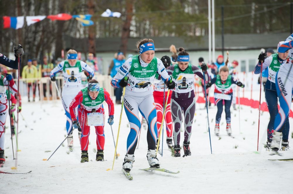 До свидания, Чемпионат!