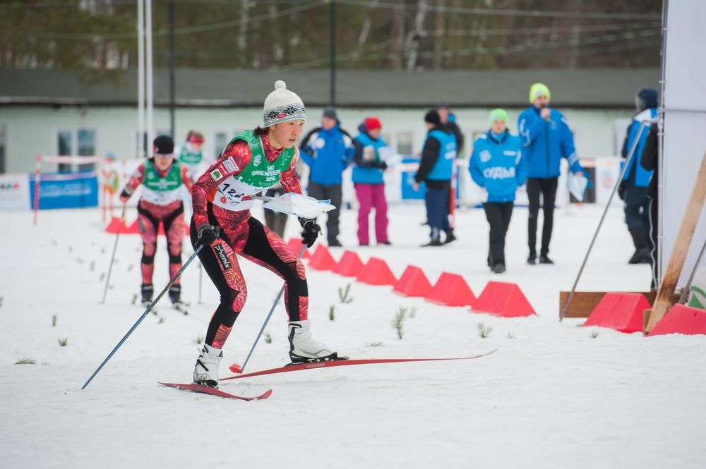 До свидания, Чемпионат!