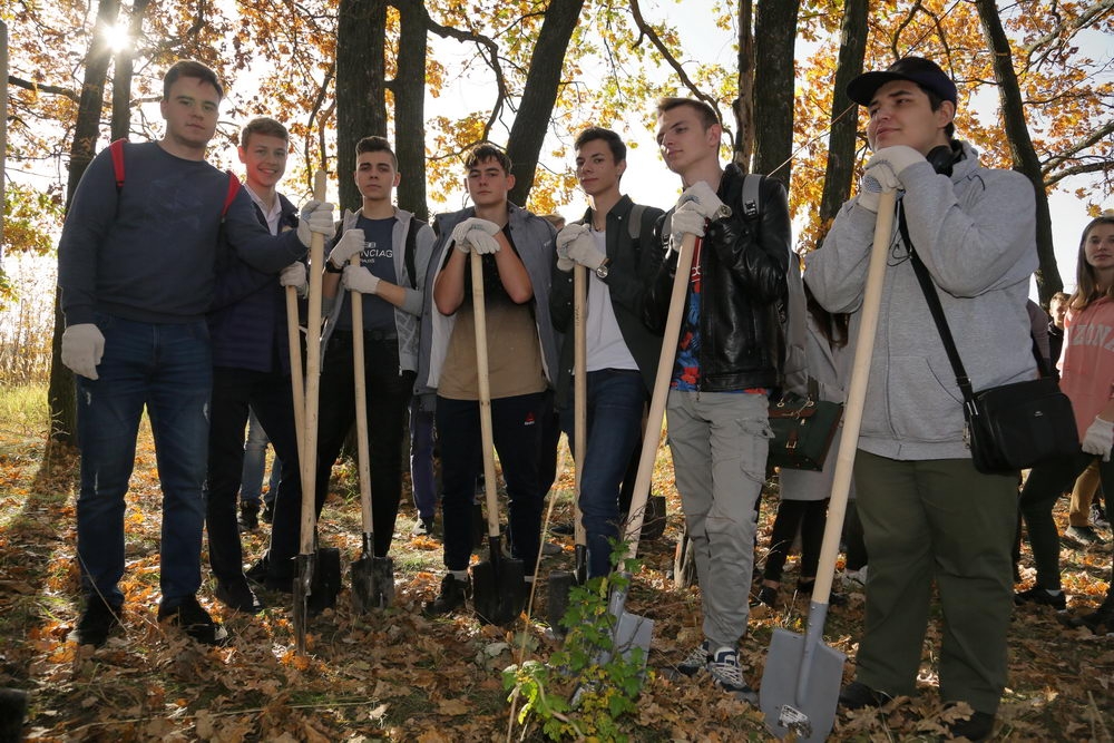 Зелёный щит на страже города