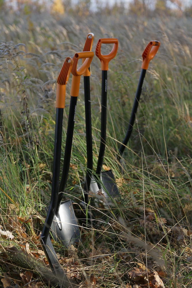 Зелёный щит на страже города