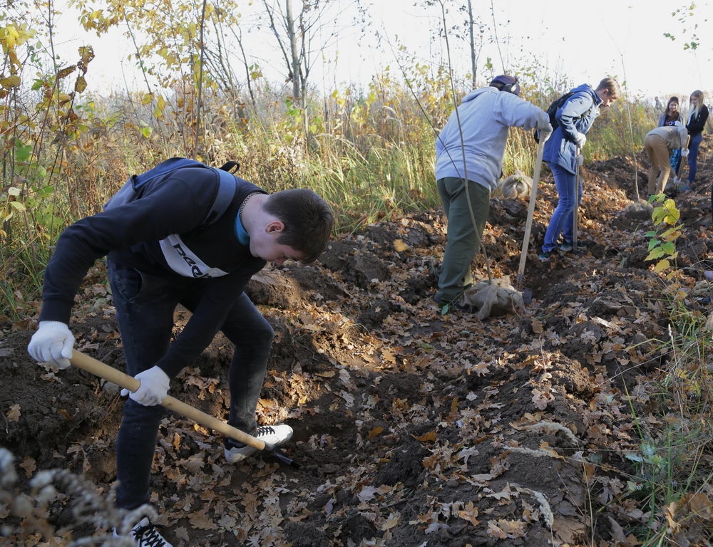 Зелёный щит на страже города