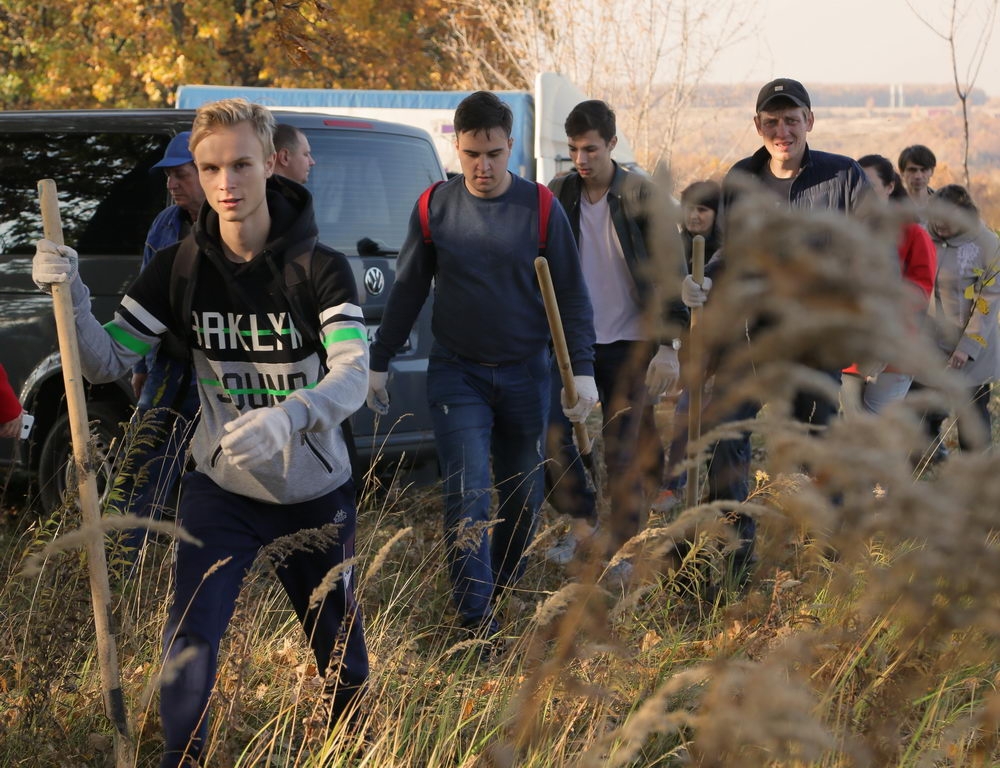 Зелёный щит на страже города