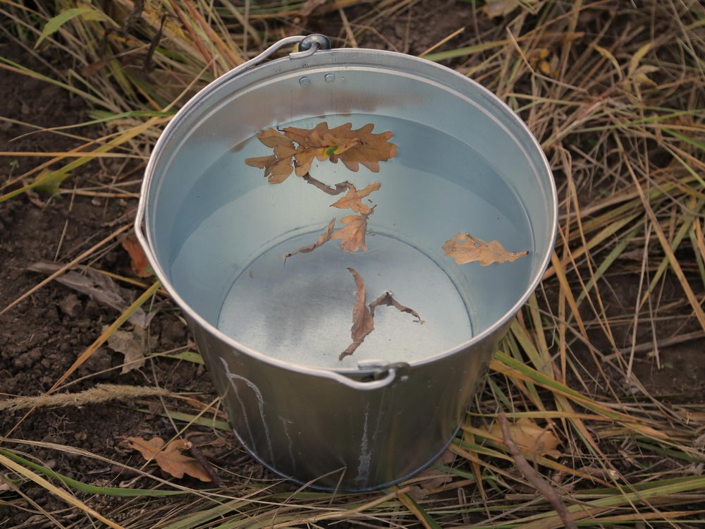 Зелёный щит на страже города