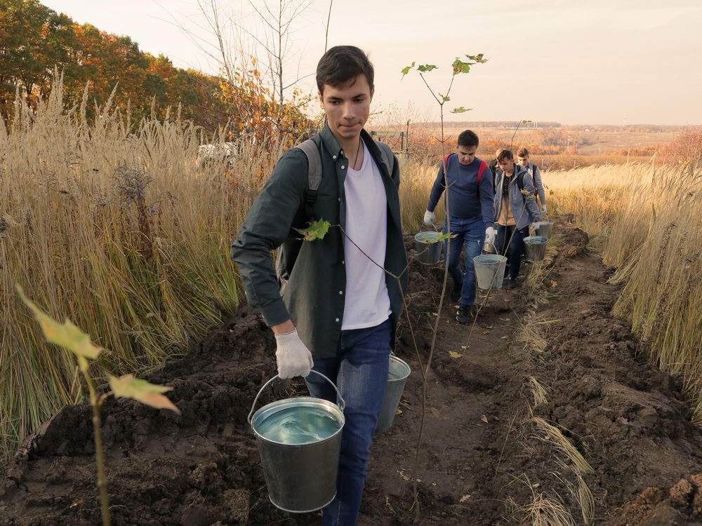 Зелёный щит на страже города