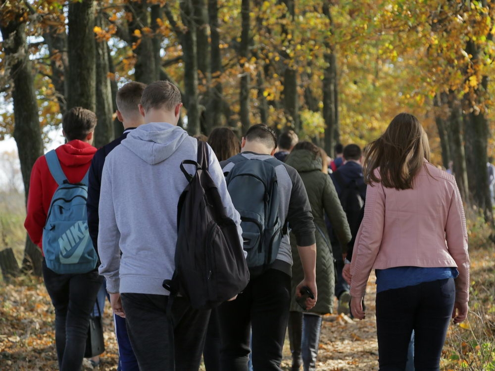 Зелёный щит на страже города