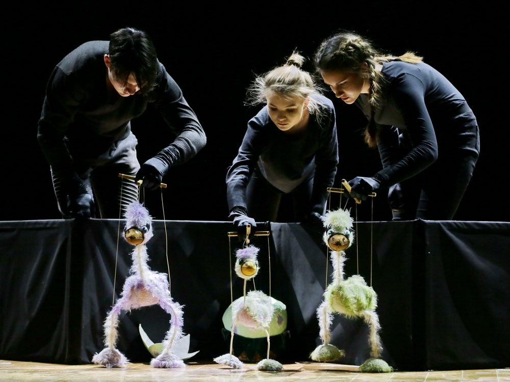 «Студенческая весна» идёт! Весне дорогу!