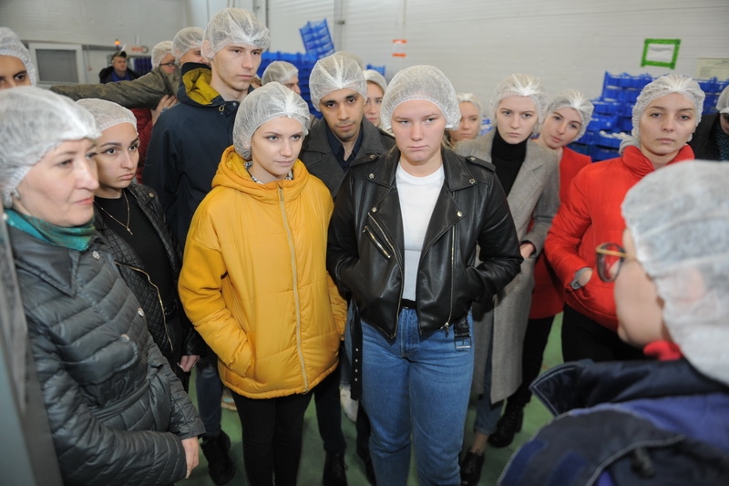 Грибной рай на Тульской земле