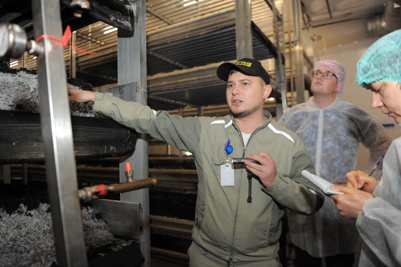 Грибной рай на Тульской земле