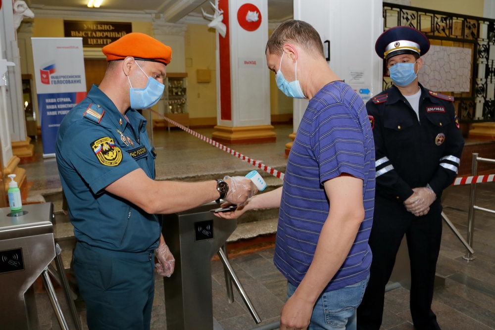 Голосование по поправкам в Конституцию РФ