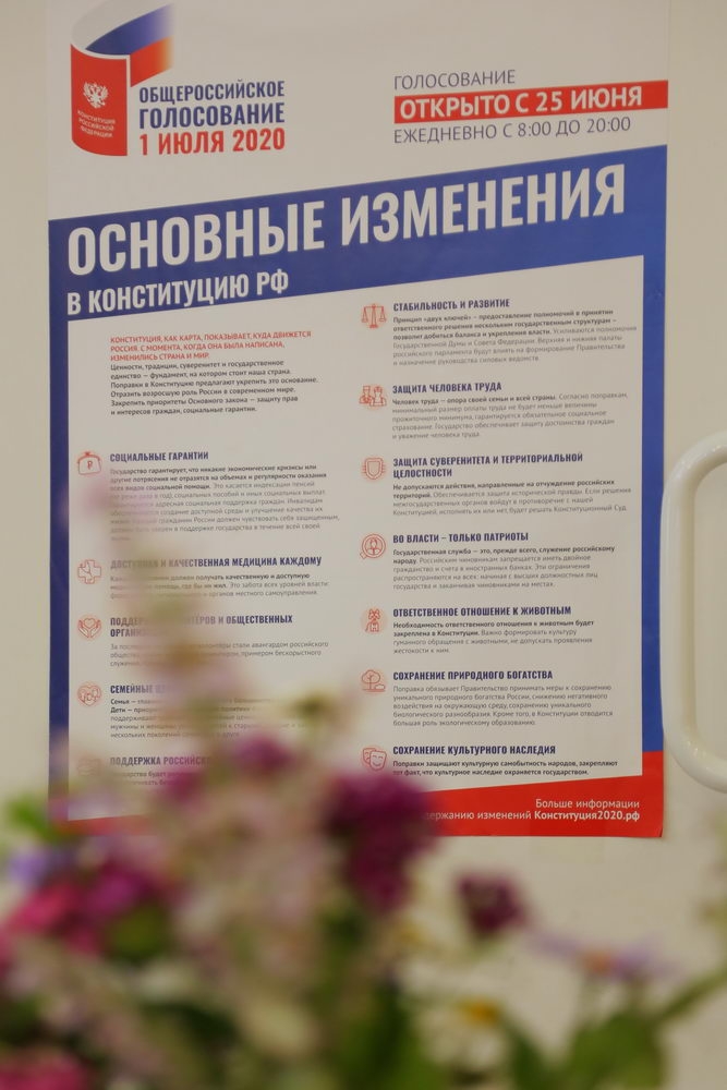 Голосование по поправкам в Конституцию РФ