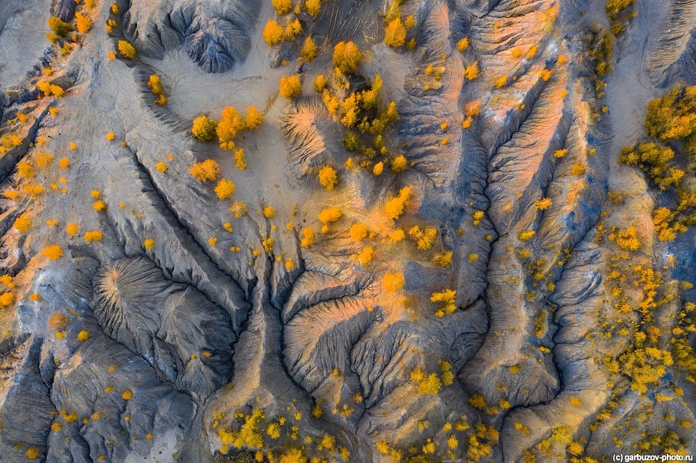 Выпускник ТулГУ — один из лучших фотографов мира