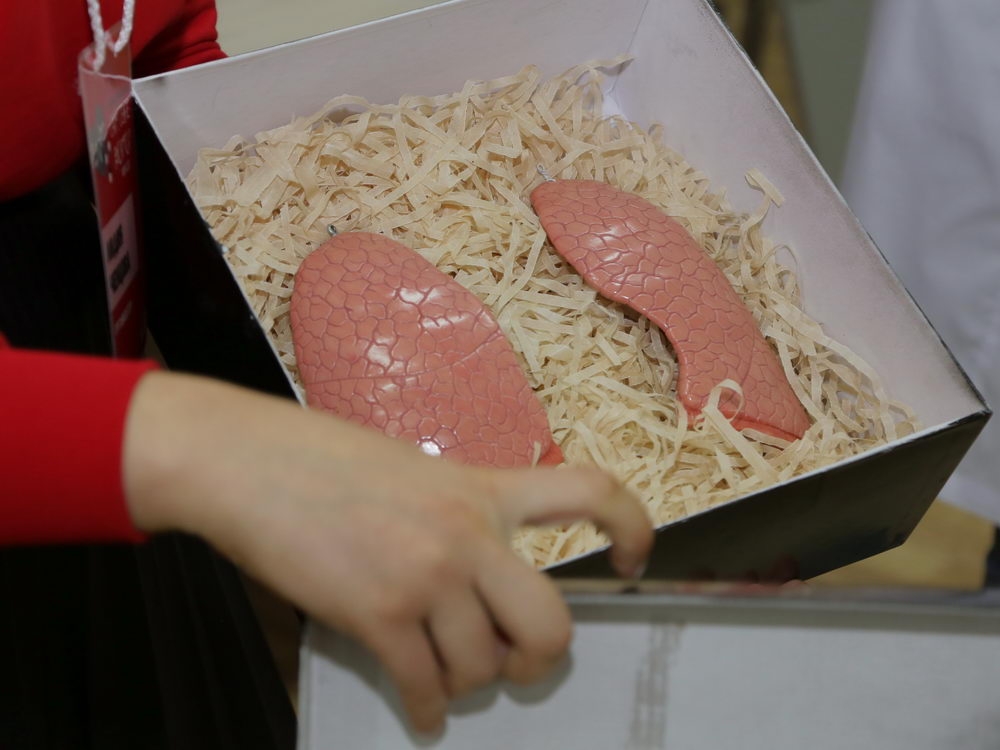 «Не навреди!»      