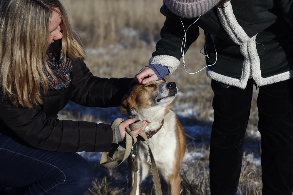 Профессий много, но...