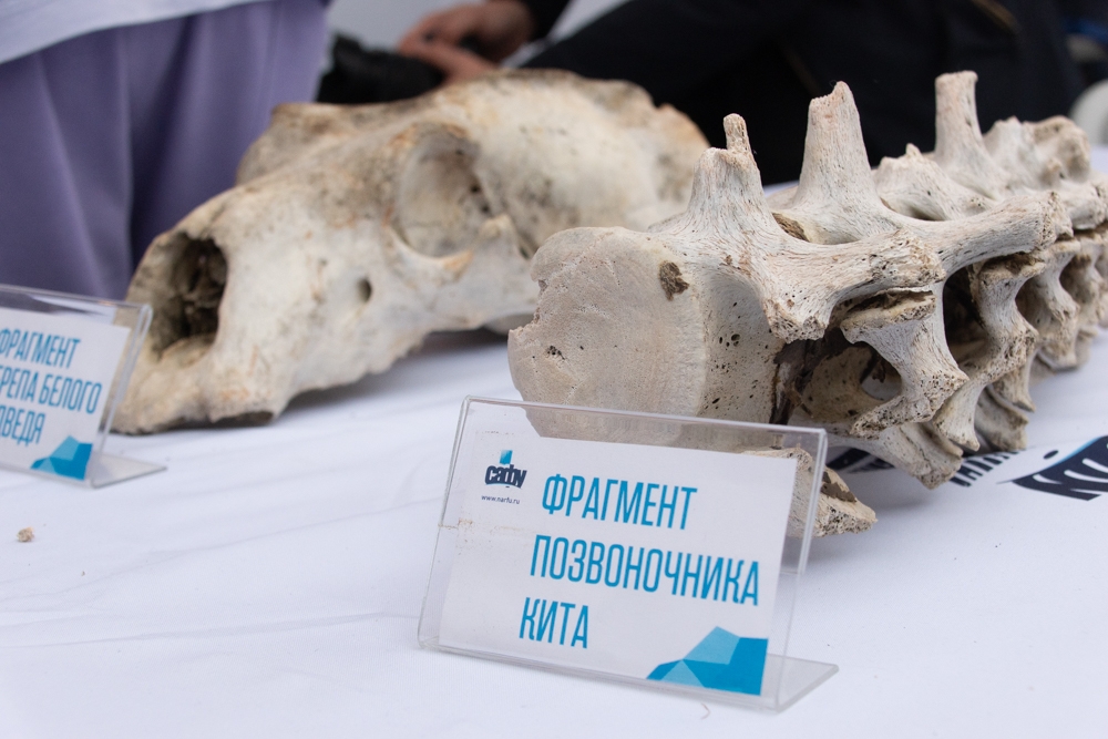 ТулГУ принял участие в фестивале «Техносреда»