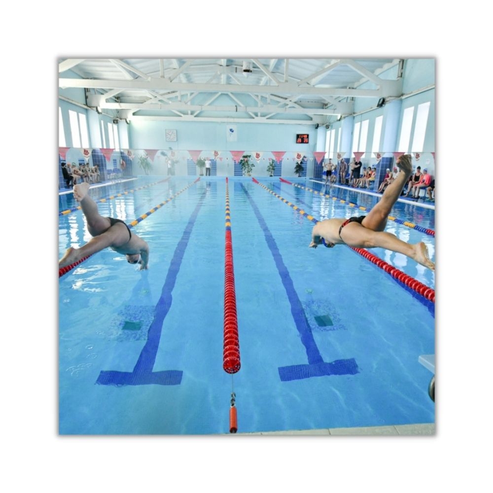 74-й студенческий заплыв