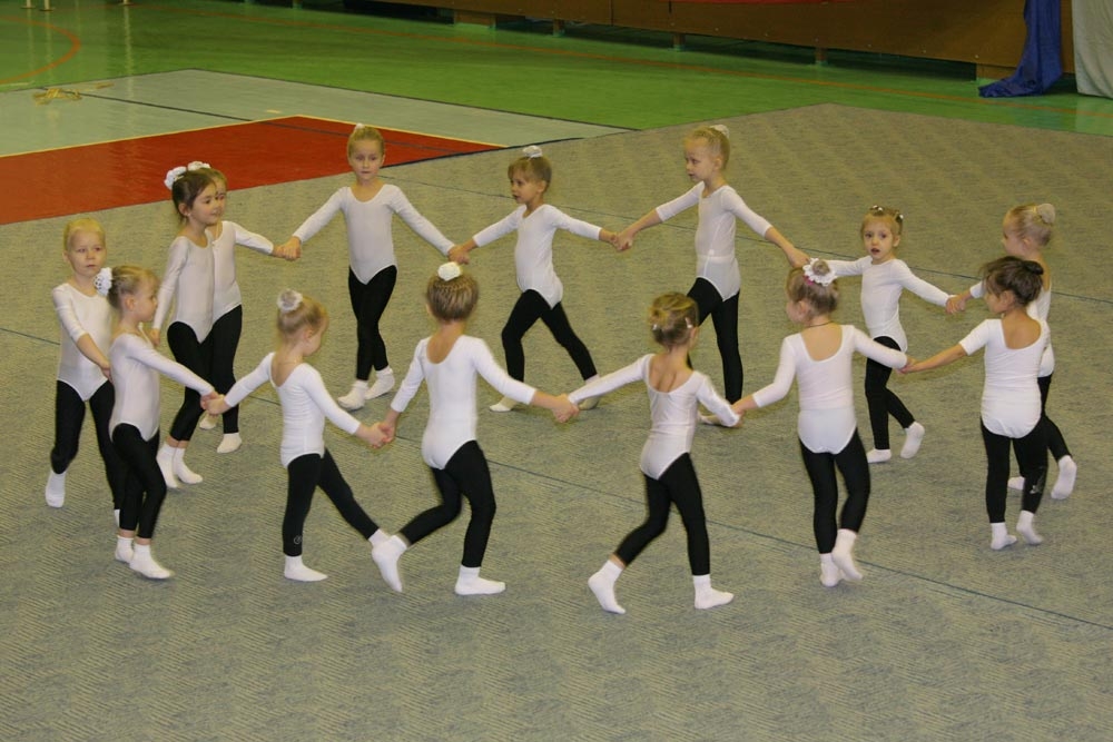 Танцевальная сага о спортивных баядерках