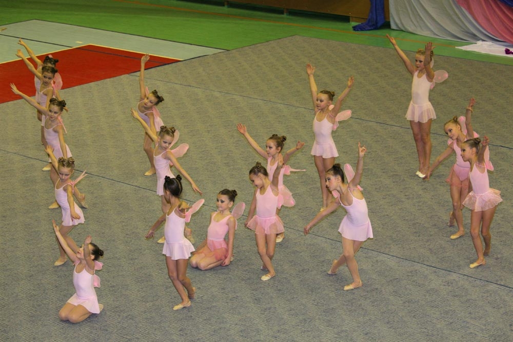 Танцевальная сага о спортивных баядерках