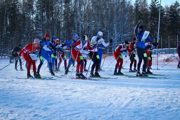 Ориентировщики ТулГУ вышли в финал зимней Универсиады
